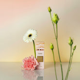 Gritti Fragrances