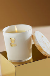 Gossip Night Candle | Gritti Fragrances