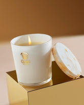 Body | Gritti Fragrances