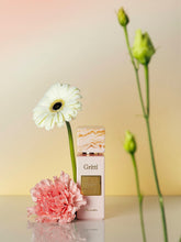 Gritti Fragrances