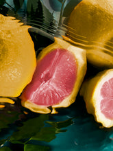 Gritti Fragrances