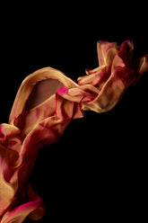 Ivy Collection | Gritti Fragrances