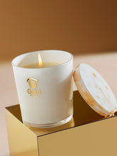 Gritti Fragrances