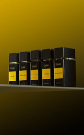 Gritti Fragrances